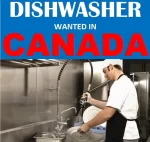 Dishwasher Job