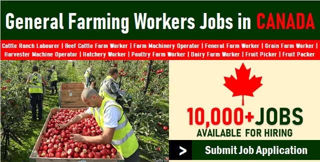 General Farm Worker Jobs in Canada for Foreigners Urgently Hiring for Farming Labour Job Vacancies 1 e1655359993114