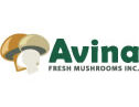 Avina Fresh Mushrooms Inc.
