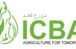 International Center for Biosaline Agriculture (ICBA)