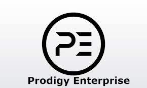 Prodigy Enterprises Inc 233.