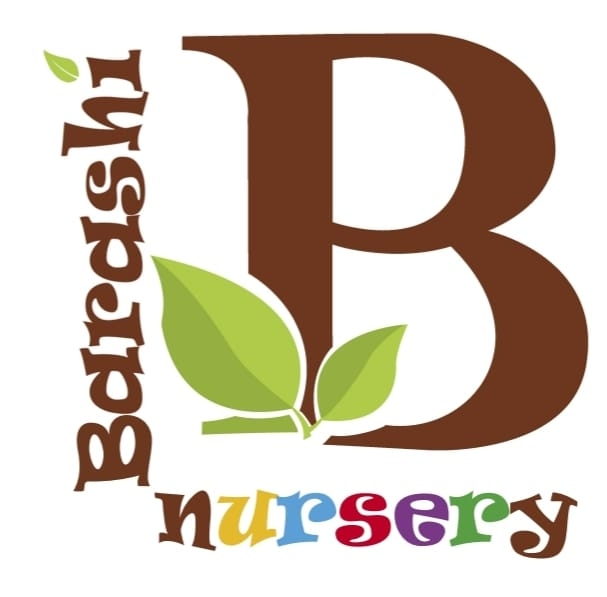 BARASHI NURSERY