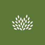 Yardscape Pools & Landscaping