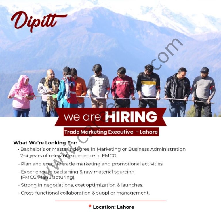 Dipitt Pakistan Jobs November 2025 4 Dipitt 1 768x768 1