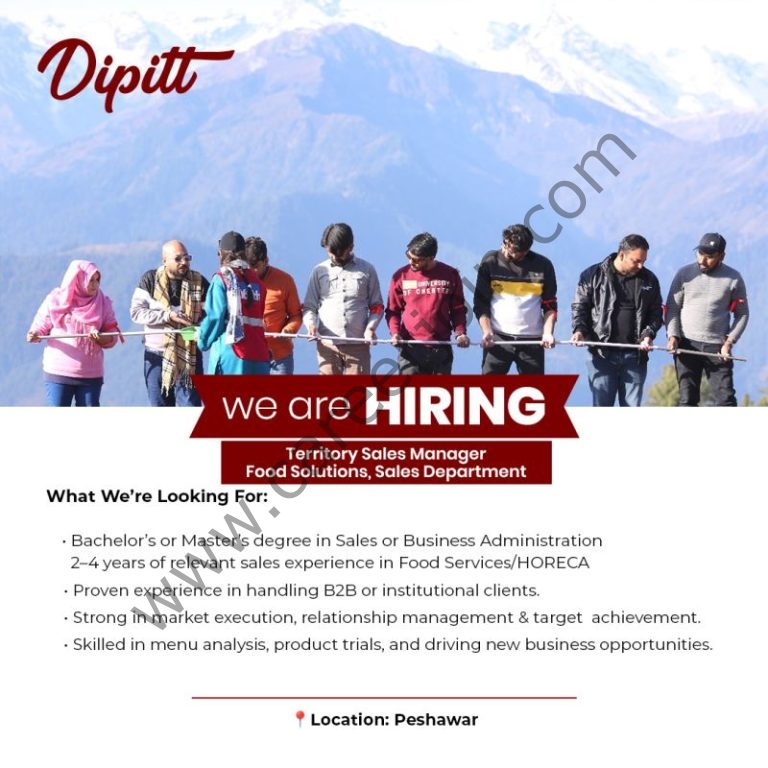 Dipitt Pakistan Jobs November 2025 5 Dipitt 768x768 1