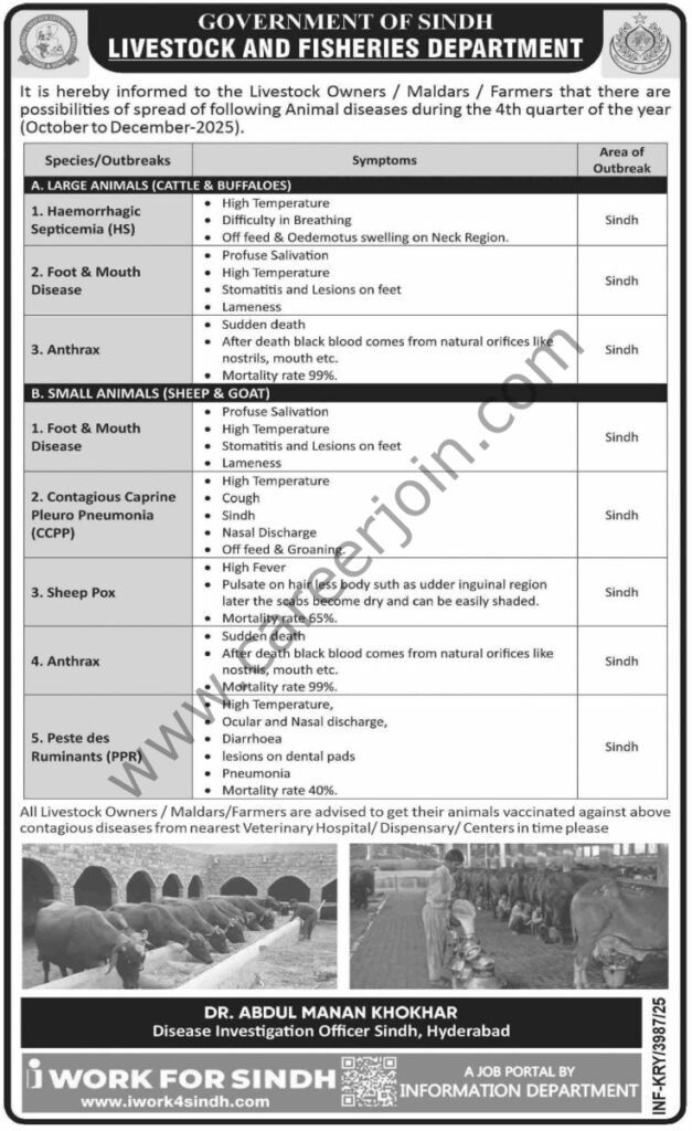 Livestock Fisheries Department Jobs 28 November 2025 Dawn 735x1200 1