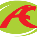 Attock Petroleum Limited (APL)