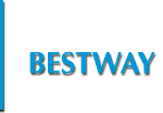 Bestway Cement Limited