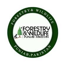 Forest & Wildlife Department Punjab Jobs January 2026