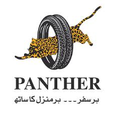 Panther Tyres Limited Jobs Territory Sales Executive
