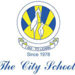 The City School Jobs Director Finance
