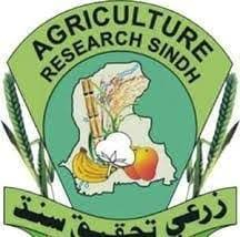 Agriculture Research Sindh Jobs February 2026