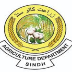 Agriculture Supply Prices Department Sindh