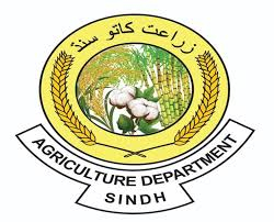 Agriculture Supply Prices Department Sindh Jobs February 2026