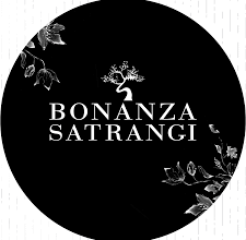 Bonanza Satrangi Jobs February 2026