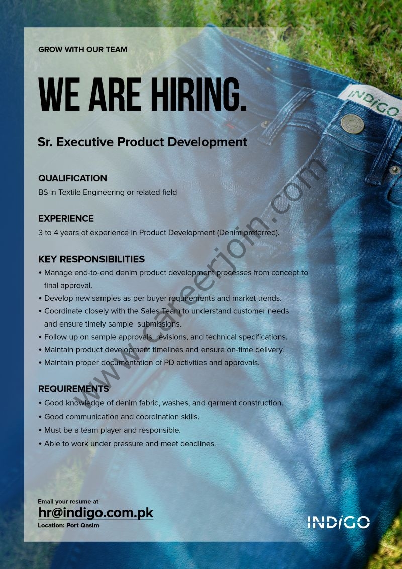 Indigo Textile Mills Limited Jobs Senior Executive Product Development 4 INdigo 1