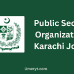 Public Sector Organization