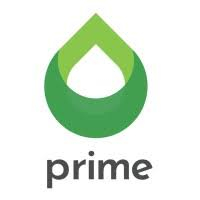 Prime Global Energies Limited Jobs March 2026