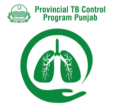 Provincial TB Control Program Punjab Jobs March 2026