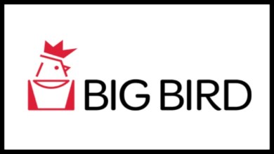 Big Bird Foods Logo