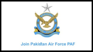 Pakistan Air Force PAF Logo