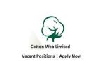 CottonWeb Limited