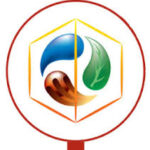 Hills & Fort Construction