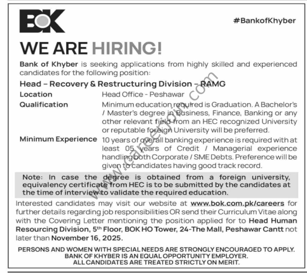Bank of Khyber BOK Jobs 02 November 2025 Dawn 1200x1066 1