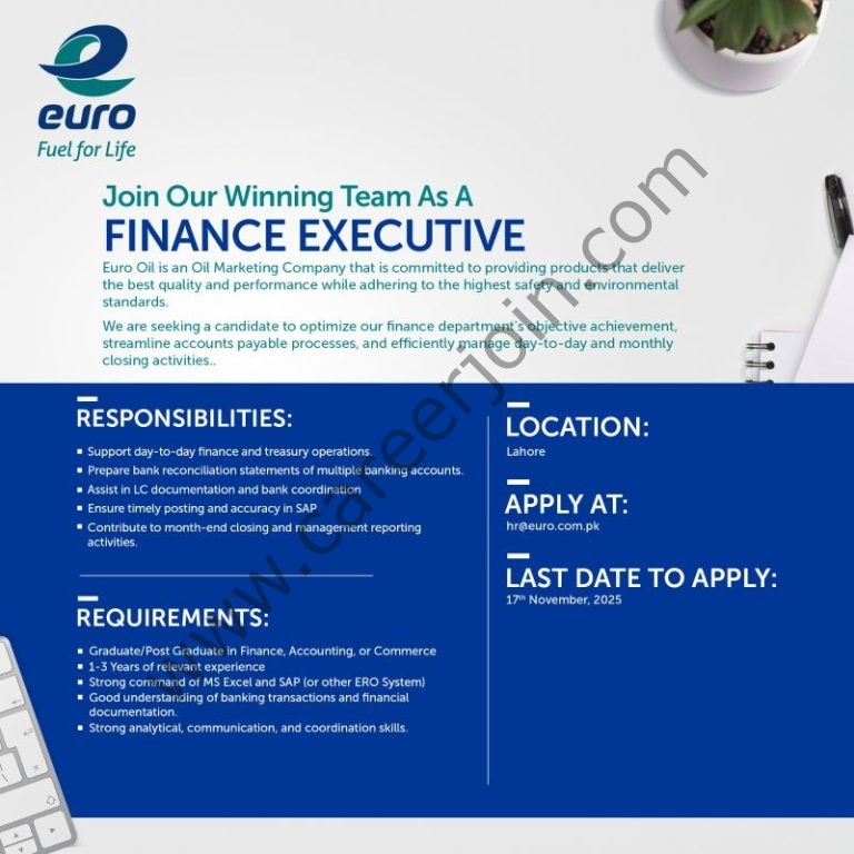 Euro Oil Pakistan Jobs Finance Executive 4 Euro OIl Pakistan 768x768 1