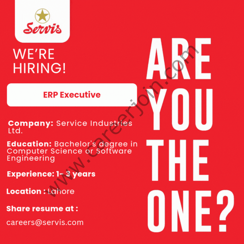 Service Industries Limited Jobs ERP Executive 4 Service Industries