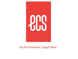 ECS Ehsan Chappal Store Jobs Senior Executive E-Commerce
