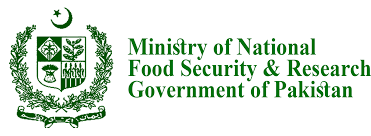 Ministry of National Food Security & Research Jobs Chairman