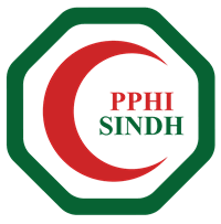 PPHI Sindh Jobs February 2026