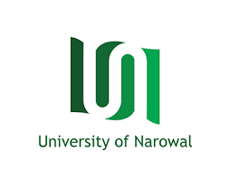 University of Narowal Jobs February 2026